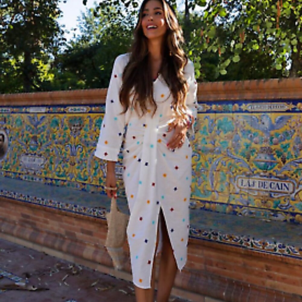 Zara The Sahani Midi Dress